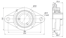 Подшипниковый узел UCFL211